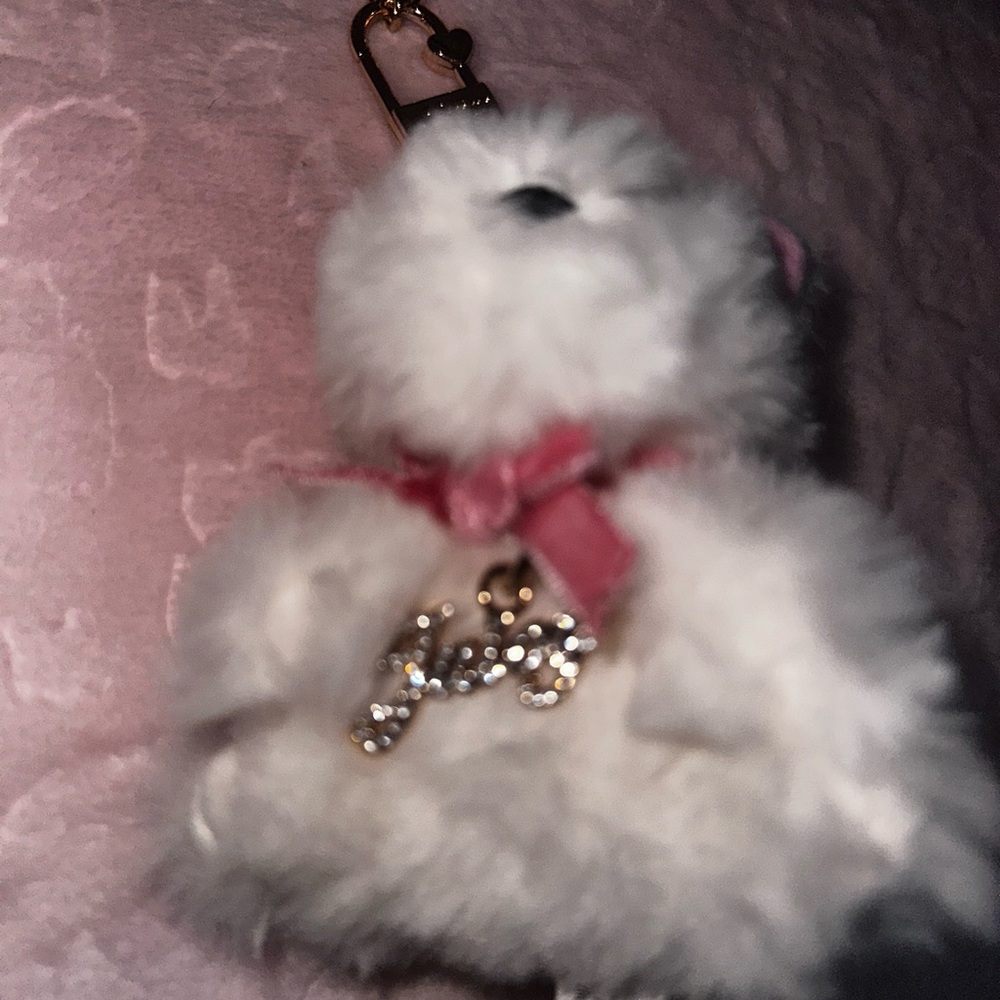 Juicy Couture Keychain/purse charm set - Picture 5 of 7